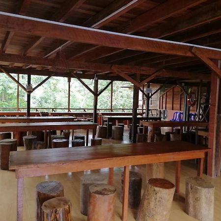 Madera Labrada Lodge Ecologico تارابوتو المظهر الخارجي الصورة
