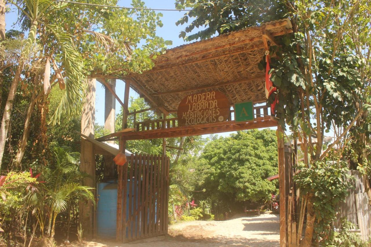 Madera Labrada Lodge Ecologico تارابوتو المظهر الخارجي الصورة