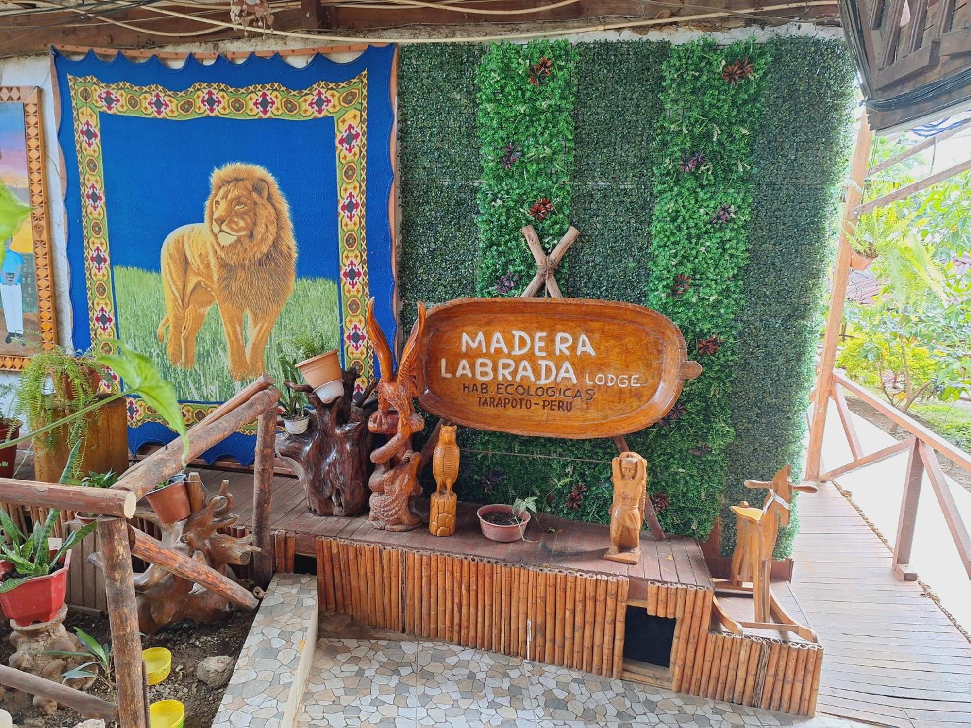 Madera Labrada Lodge Ecologico تارابوتو المظهر الخارجي الصورة