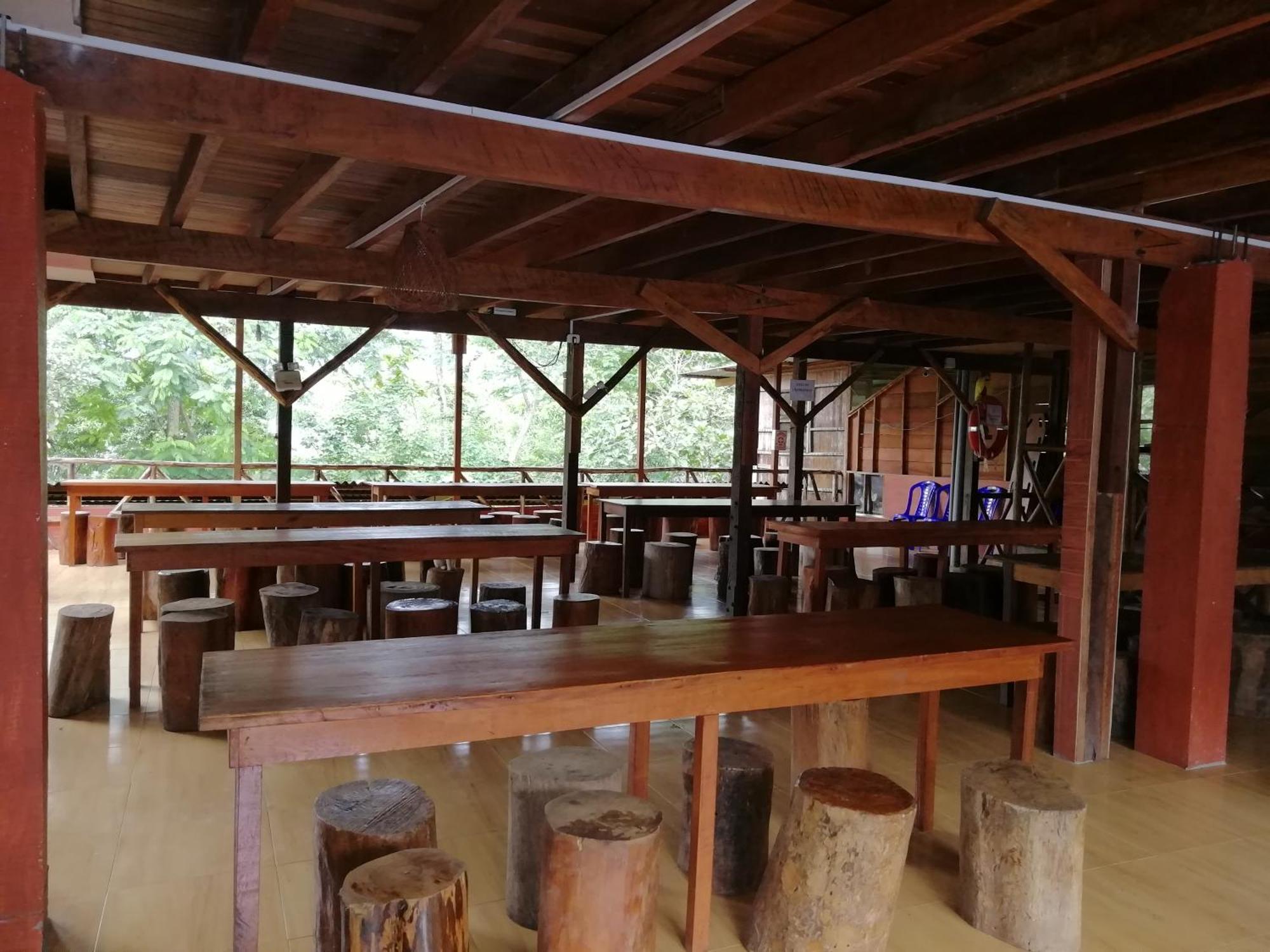 Madera Labrada Lodge Ecologico تارابوتو المظهر الخارجي الصورة